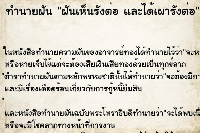 ทำนายฝันฝันเห็นรังต่อและได้เผารังต่อ ทำนายฝันทำนายฝันฝันเห็นรังต่อและได้เผารังต่อ